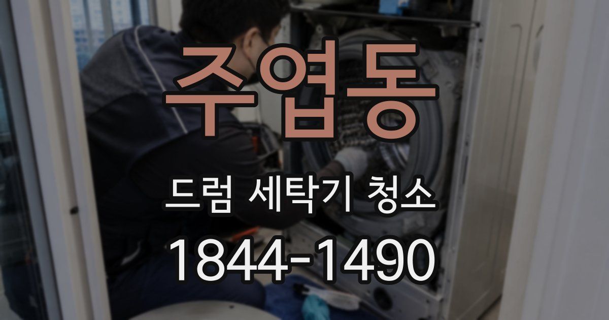 주엽동 드럼 세탁기 청소