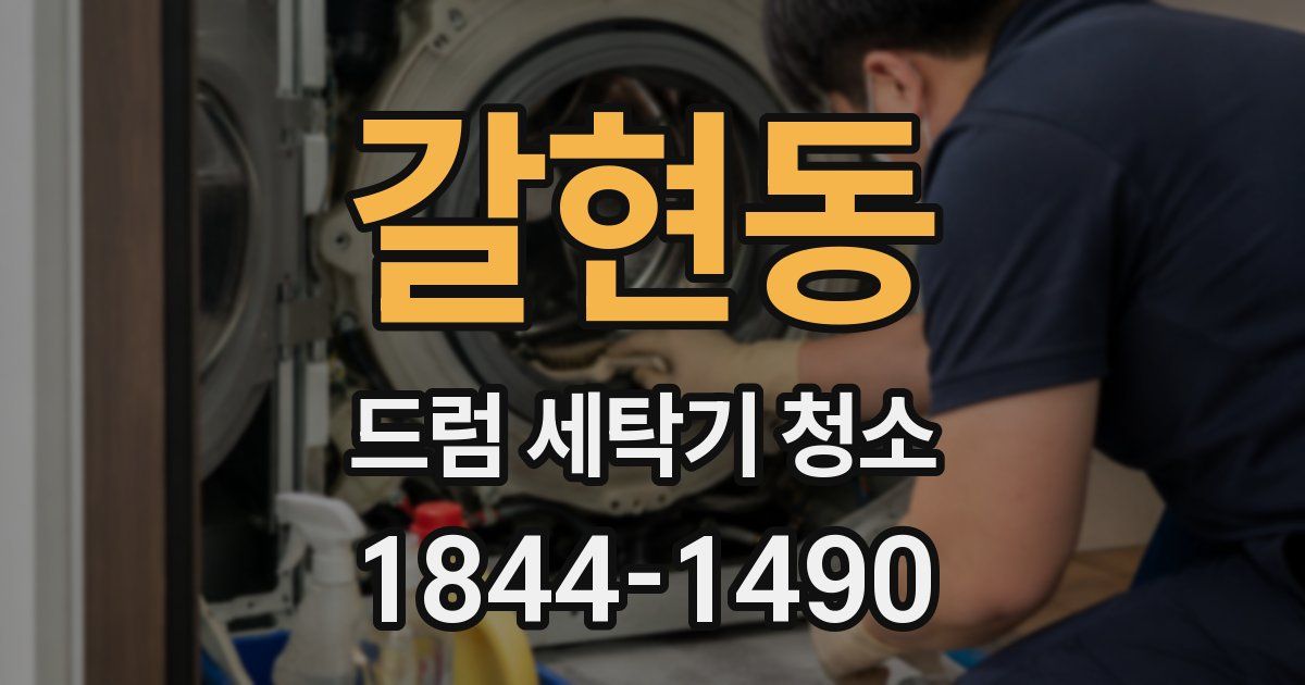 갈현동 드럼 세탁기 청소