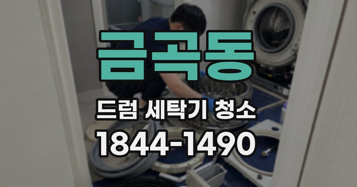 금곡동 드럼 세탁기 청소