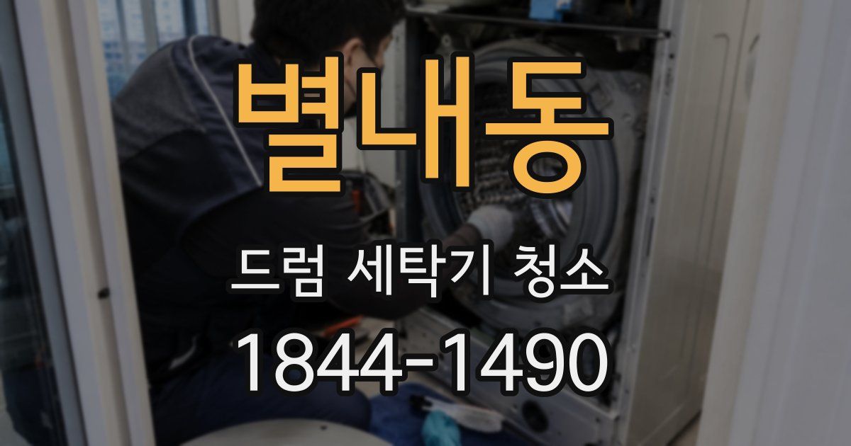 별내동 드럼 세탁기 청소