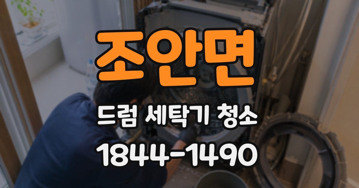 조안면 드럼 세탁기 청소
