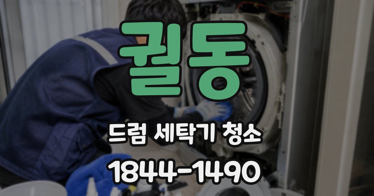 궐동 드럼 세탁기 청소
