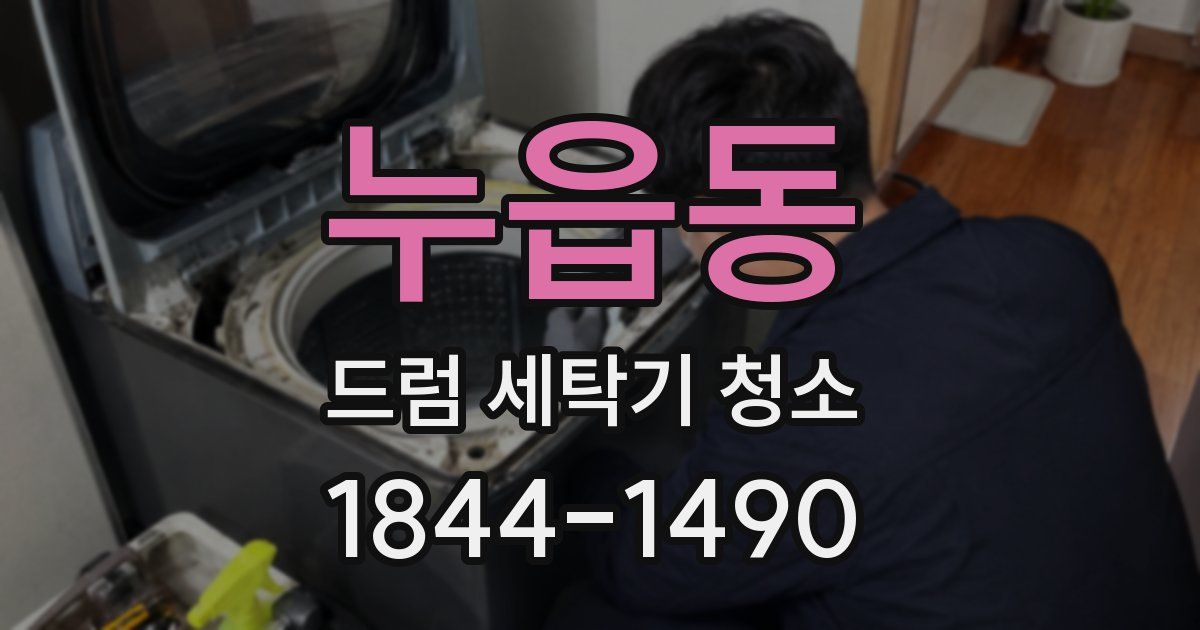 누읍동 드럼 세탁기 청소