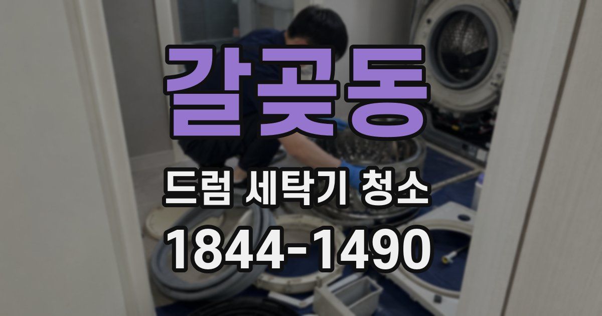 갈곶동 드럼 세탁기 청소