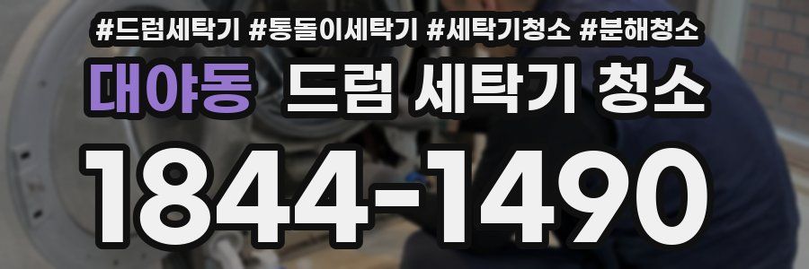 대야동 드럼 세탁기 청소