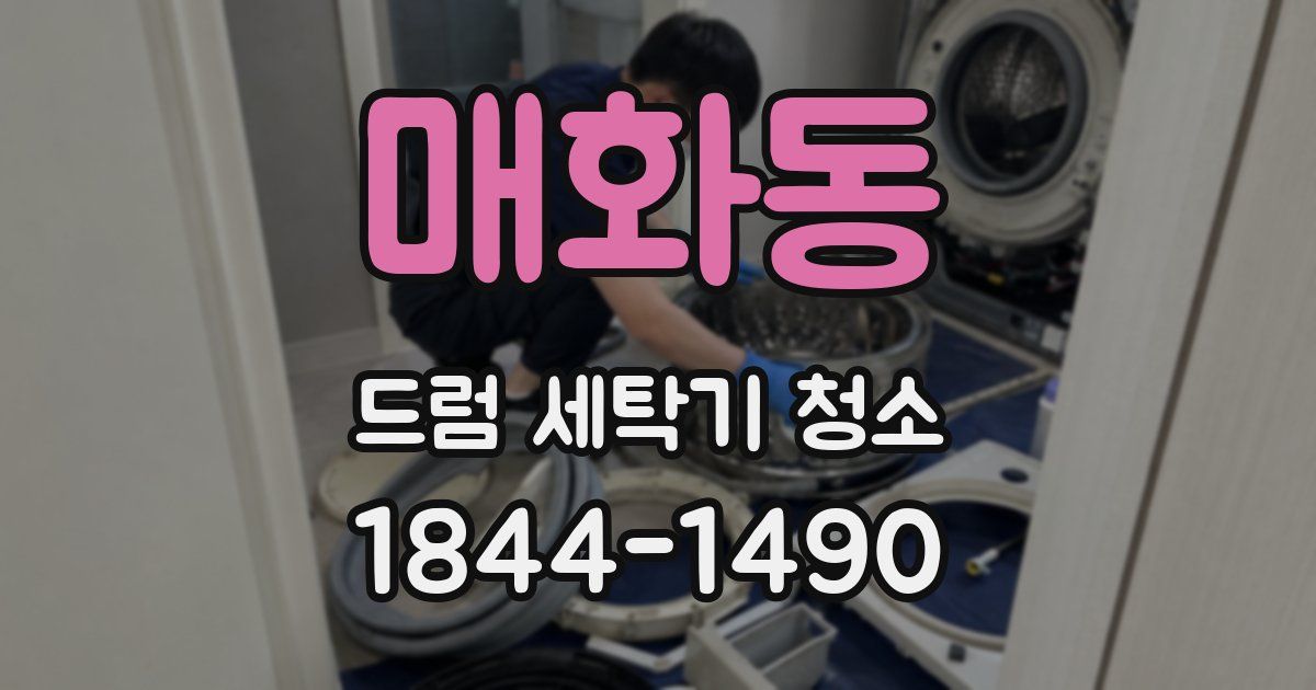 매화동 드럼 세탁기 청소