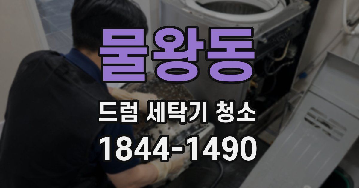 물왕동 드럼 세탁기 청소