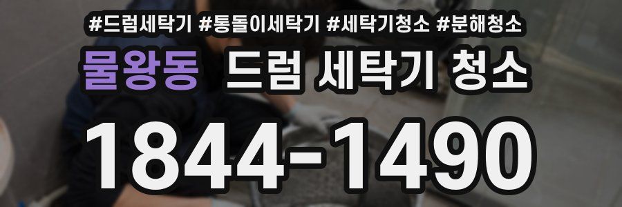 물왕동 드럼 세탁기 청소