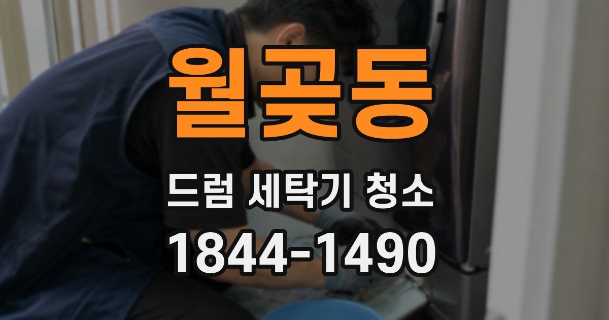 월곶동 드럼 세탁기 청소
