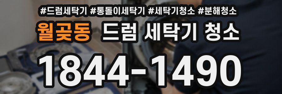 월곶동 드럼 세탁기 청소