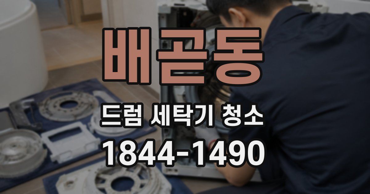 배곧동 드럼 세탁기 청소