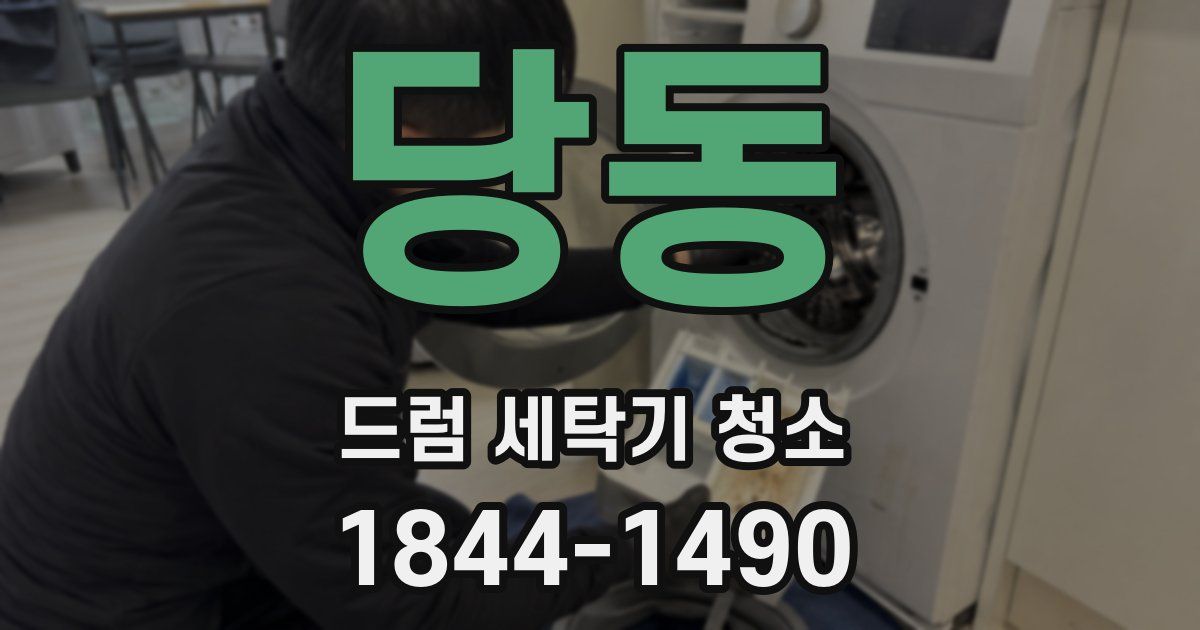 당동 드럼 세탁기 청소