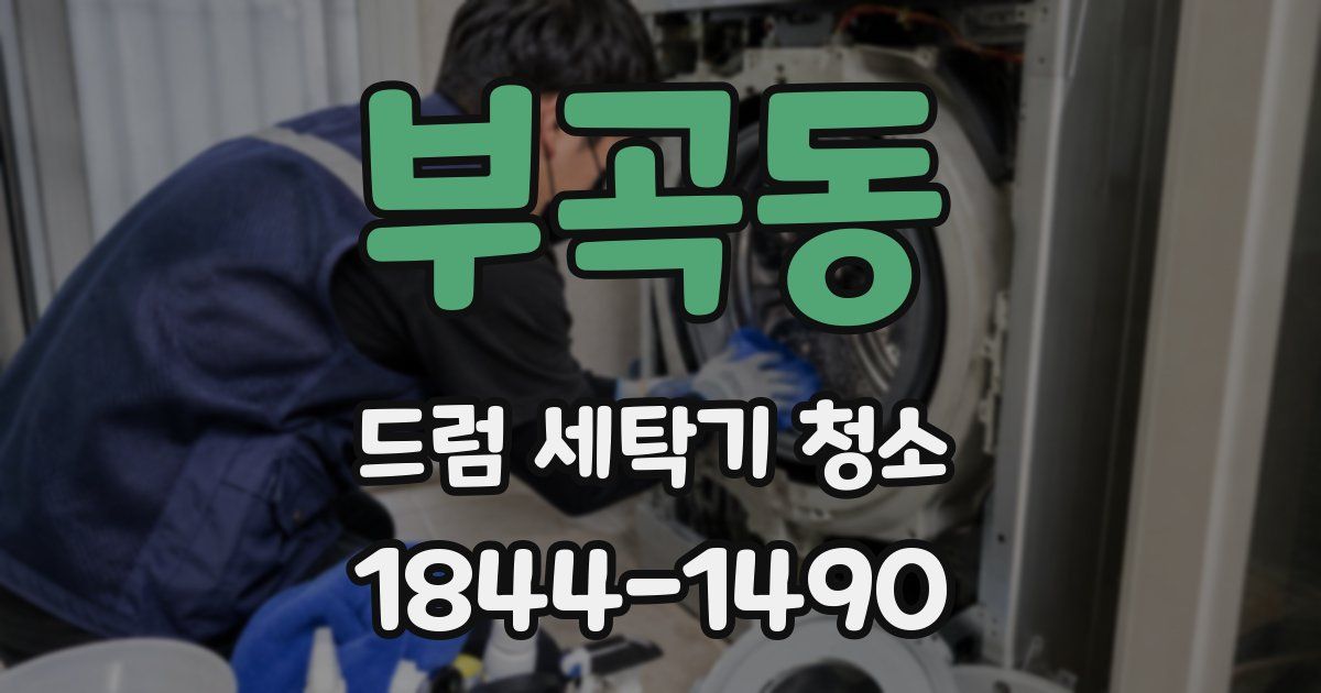 부곡동 드럼 세탁기 청소