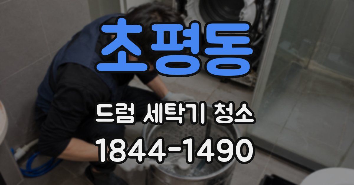초평동 드럼 세탁기 청소