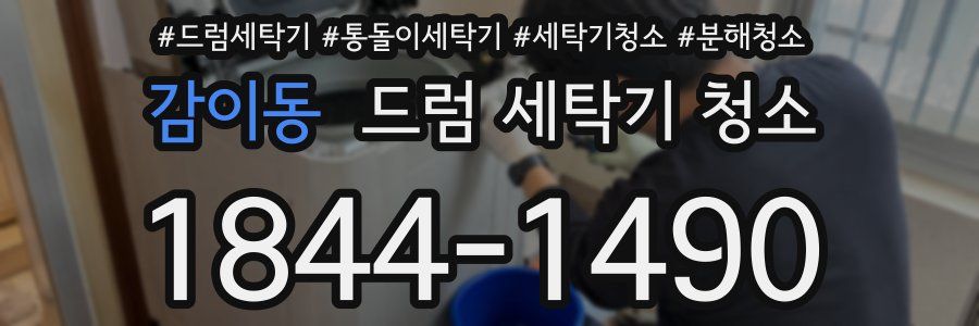 감이동 드럼 세탁기 청소