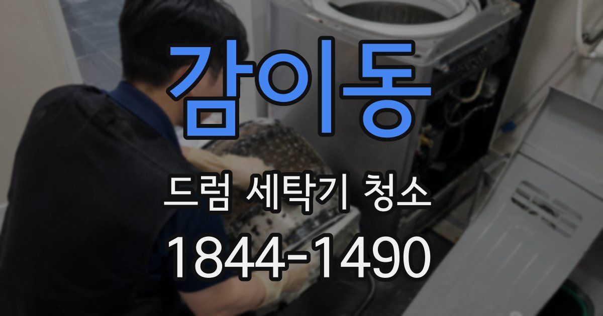 감이동 드럼 세탁기 청소