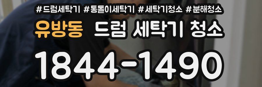 유방동 드럼 세탁기 청소