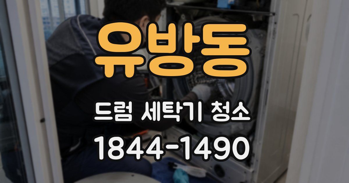 유방동 드럼 세탁기 청소