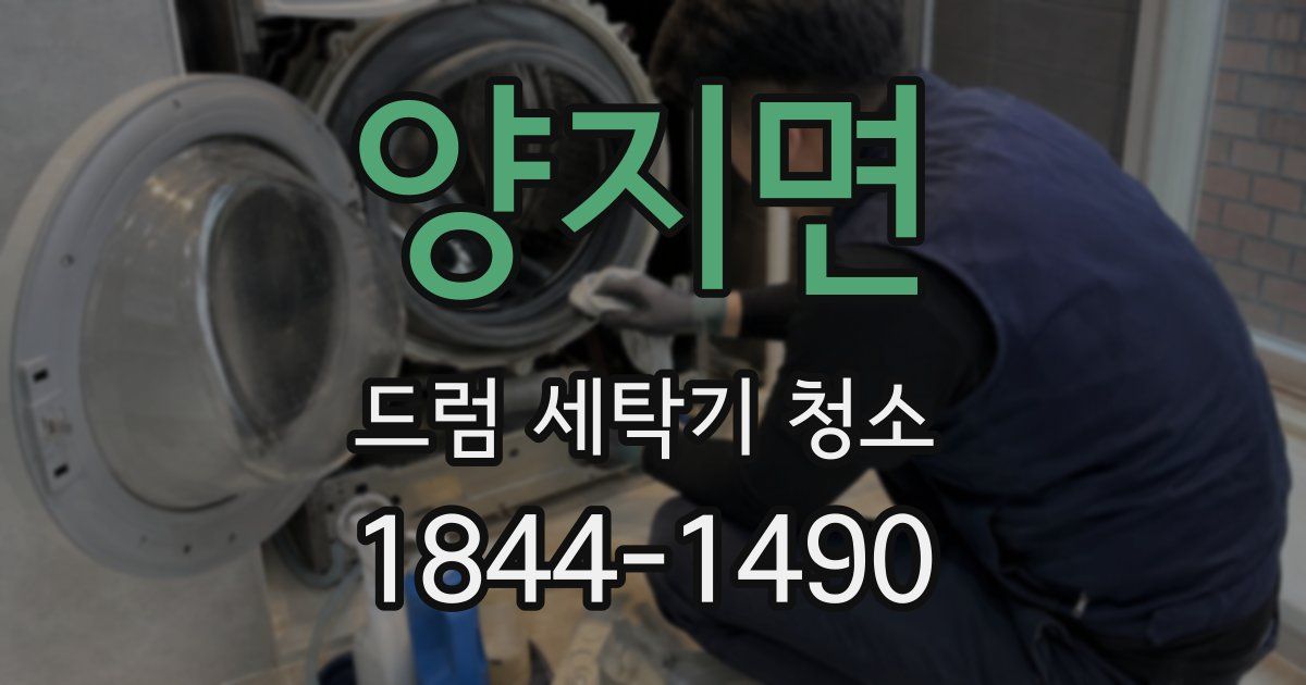 양지면 드럼 세탁기 청소