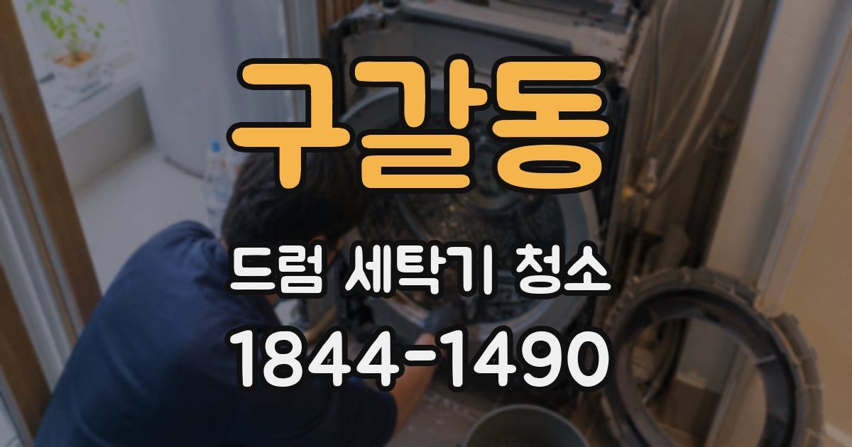 구갈동 드럼 세탁기 청소