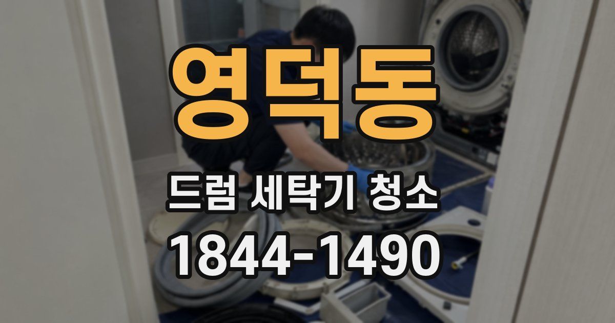 영덕동 드럼 세탁기 청소