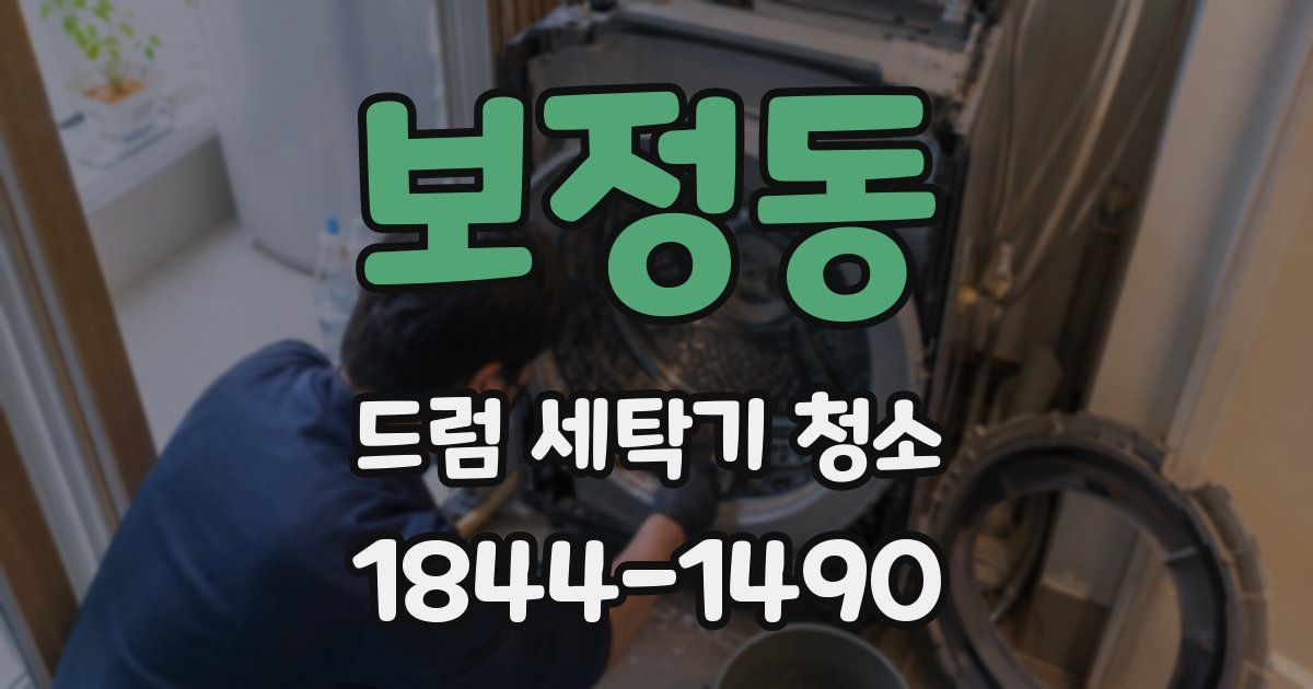 보정동 드럼 세탁기 청소