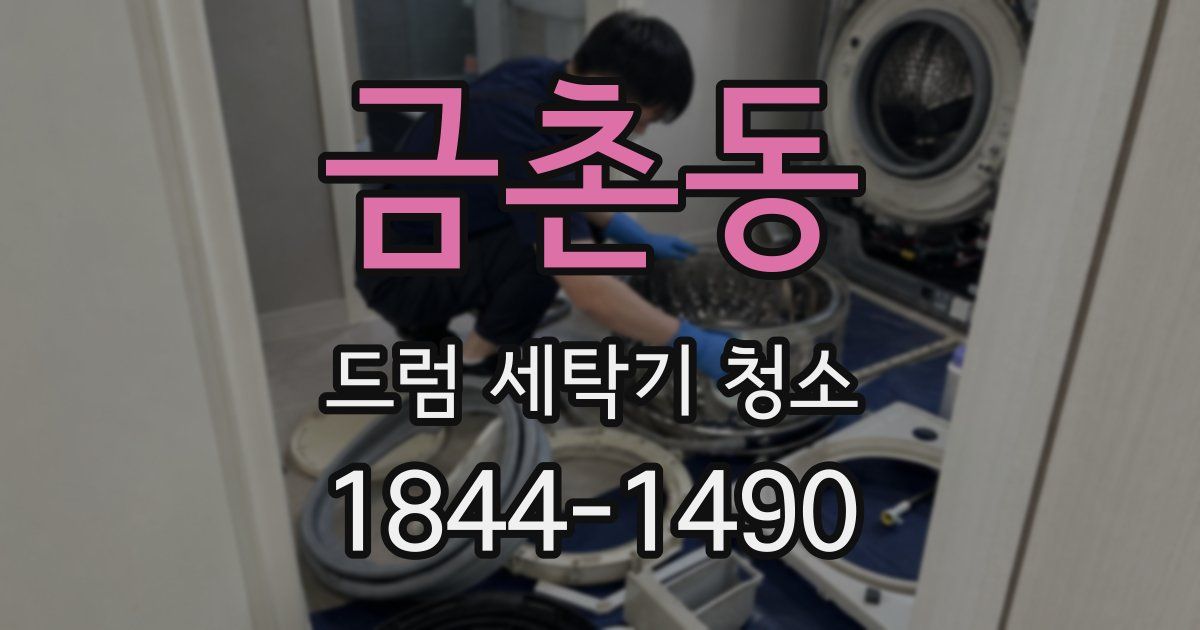 금촌동 드럼 세탁기 청소