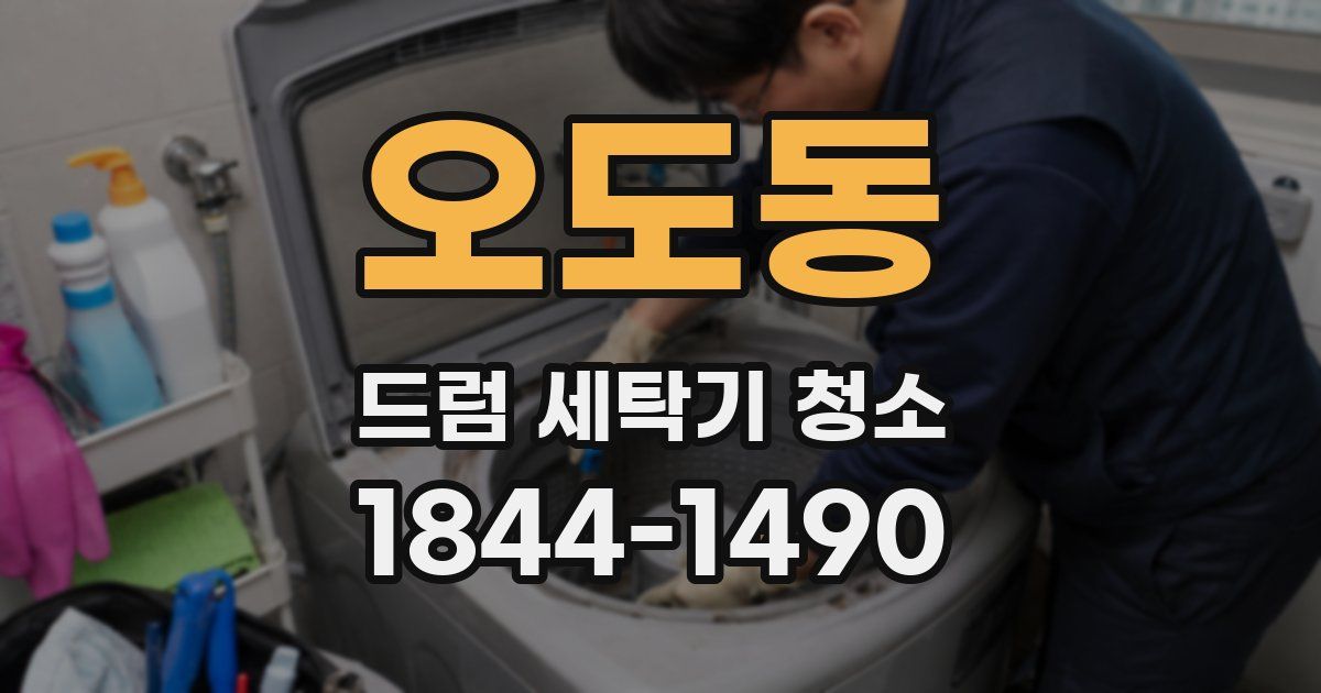 오도동 드럼 세탁기 청소
