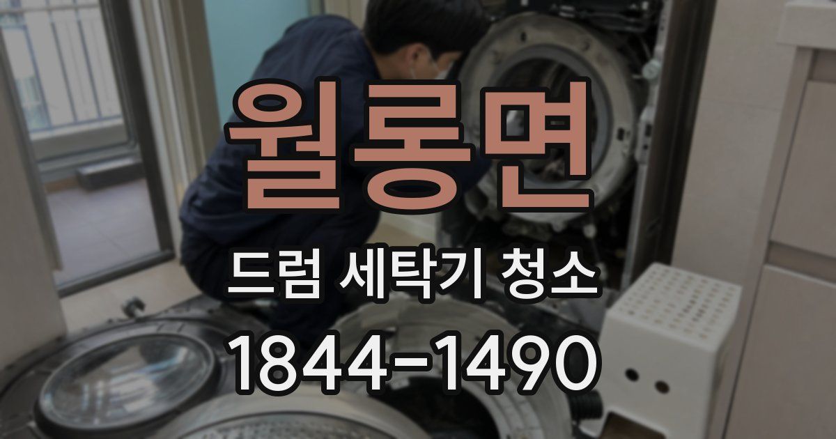 월롱면 드럼 세탁기 청소