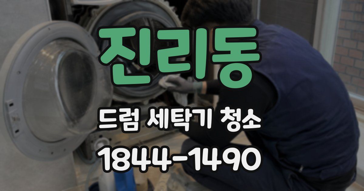 진리동 드럼 세탁기 청소