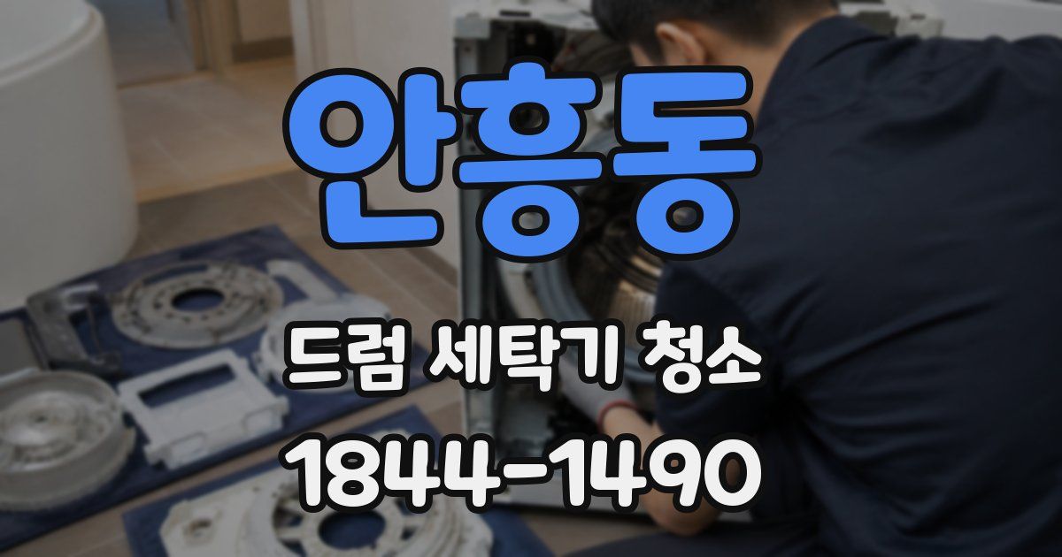 안흥동 드럼 세탁기 청소
