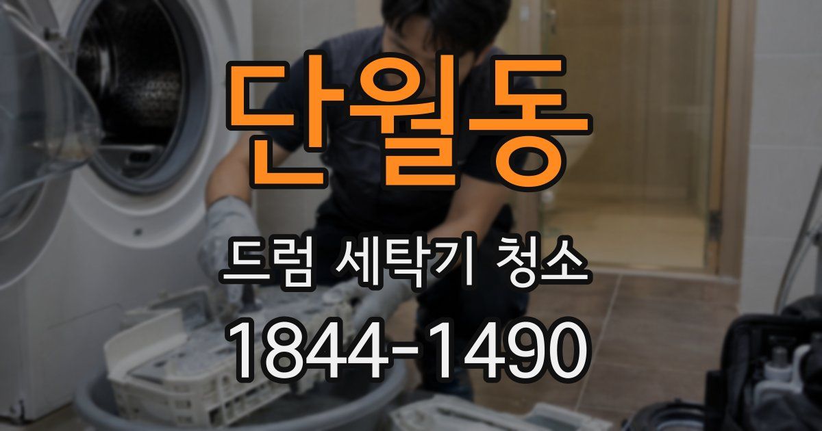 단월동 드럼 세탁기 청소