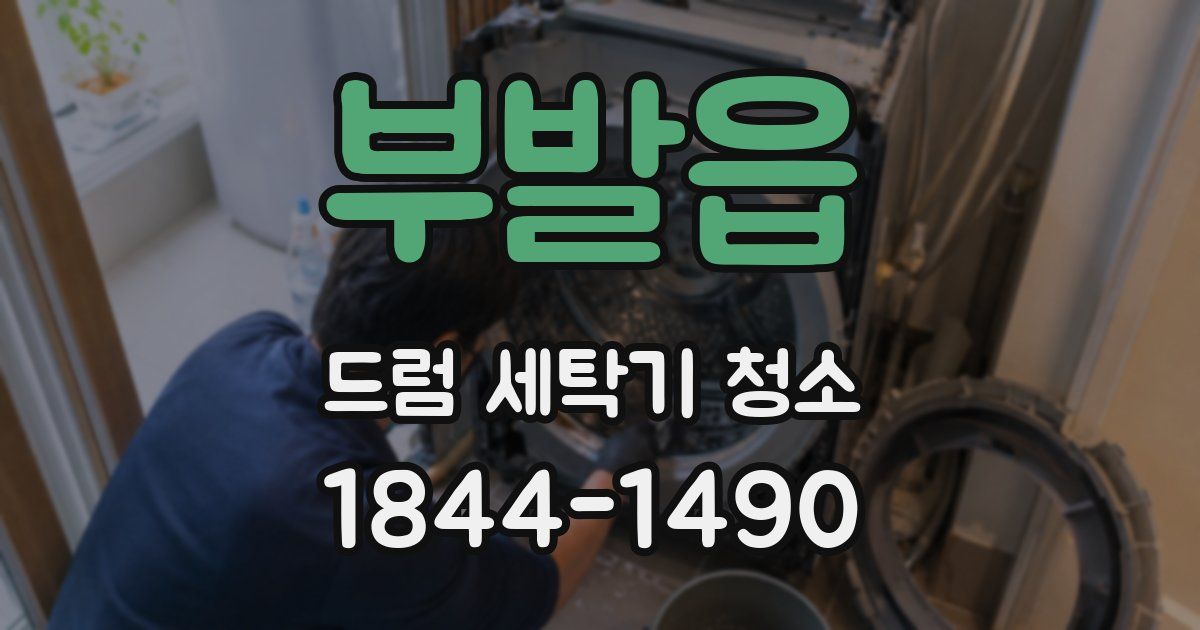 부발읍 드럼 세탁기 청소