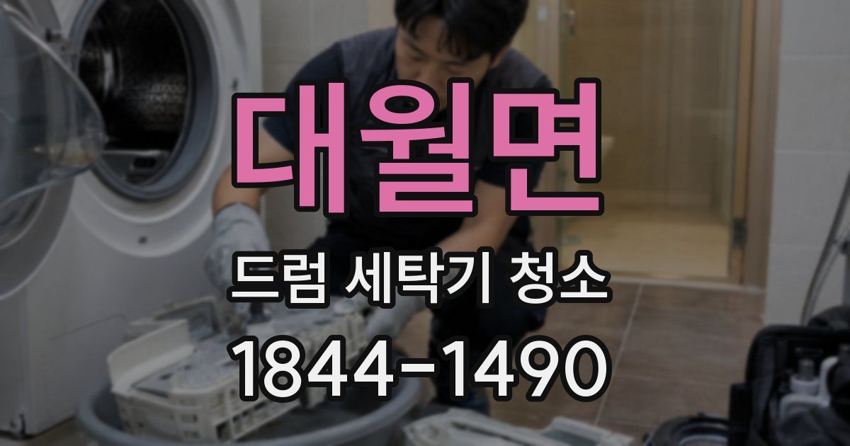 대월면 드럼 세탁기 청소