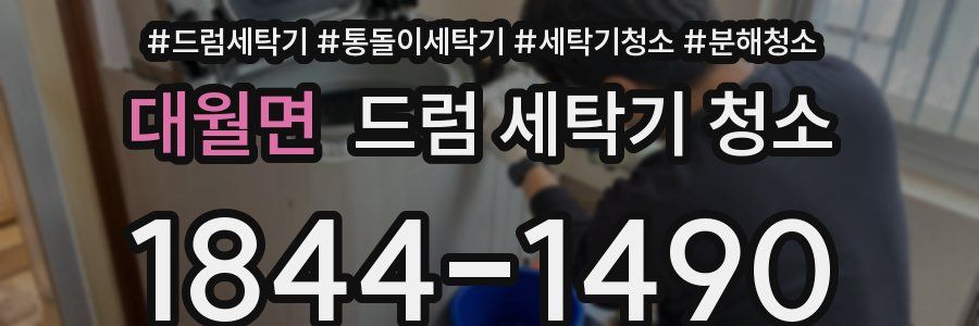 대월면 드럼 세탁기 청소
