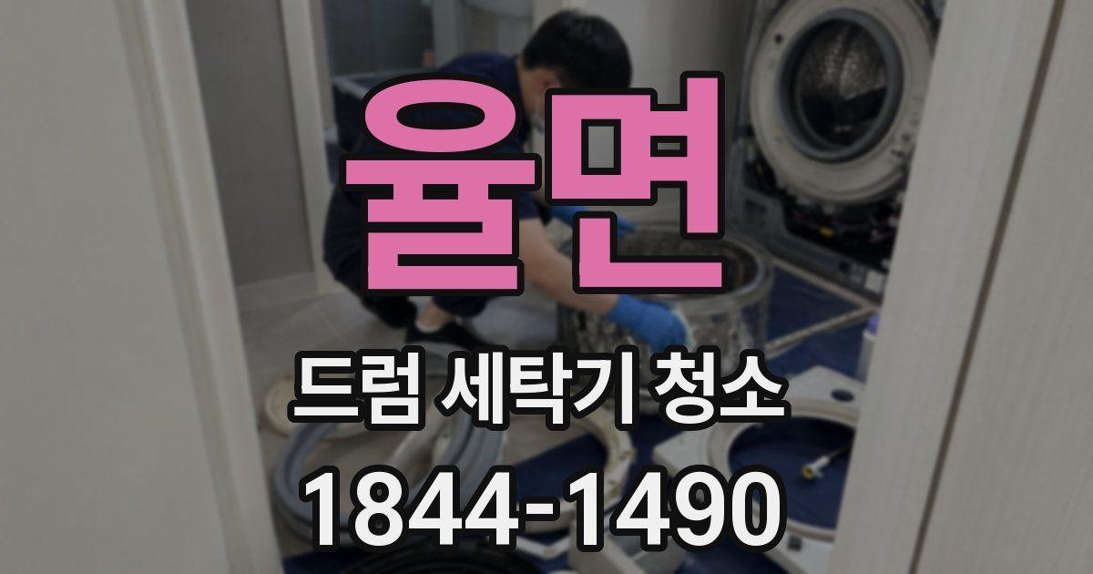 율면 드럼 세탁기 청소