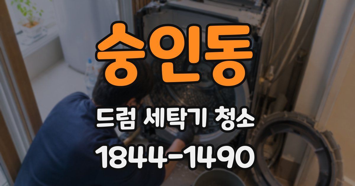 숭인동 드럼 세탁기 청소