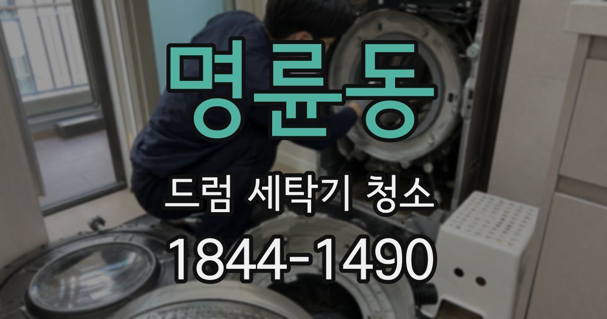 명륜동 드럼 세탁기 청소