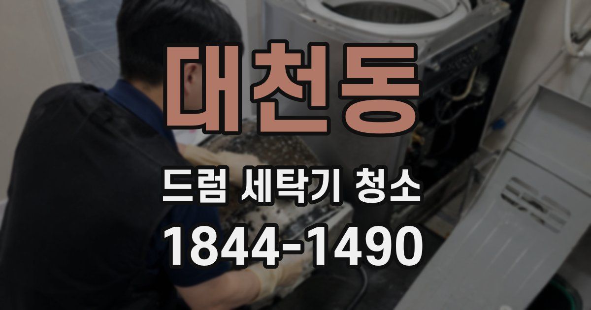 대천동 드럼 세탁기 청소