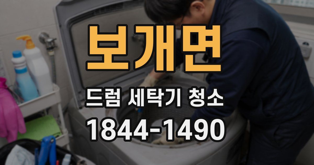 보개면 드럼 세탁기 청소