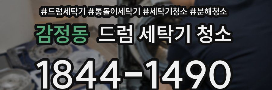 감정동 드럼 세탁기 청소