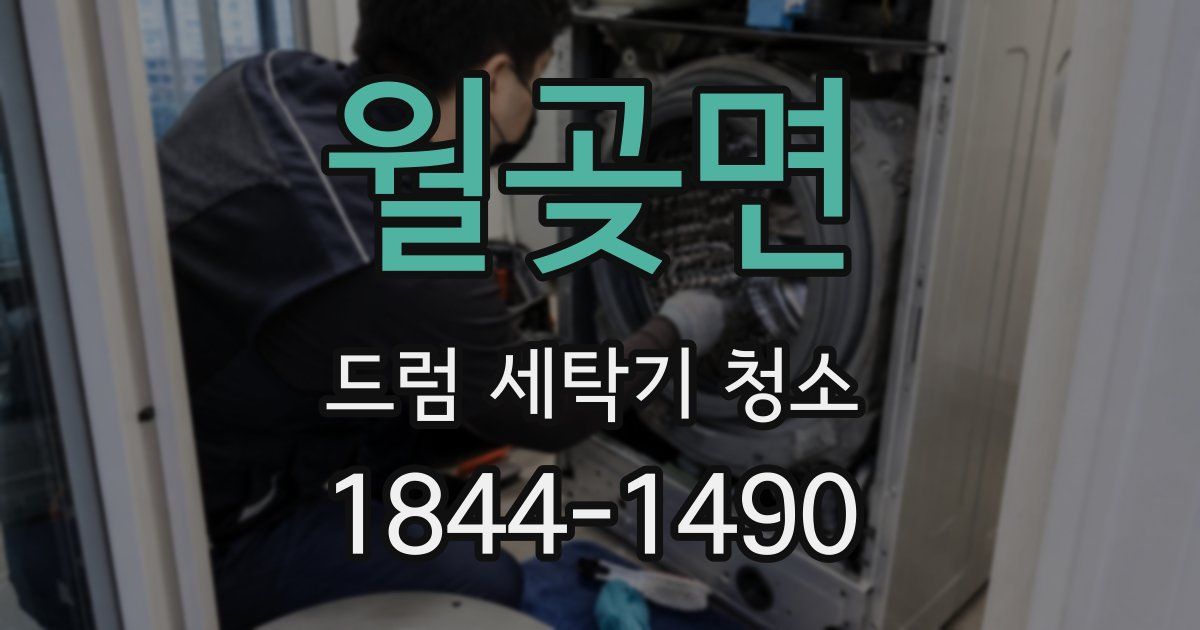 월곶면 드럼 세탁기 청소