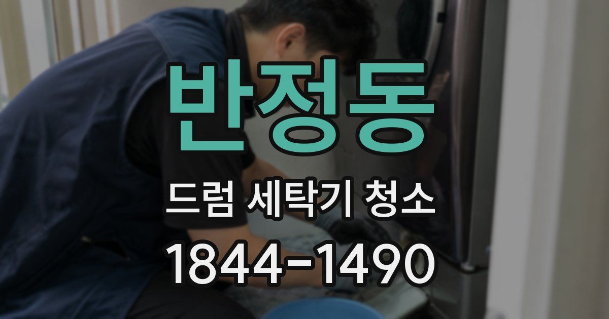 반정동 드럼 세탁기 청소