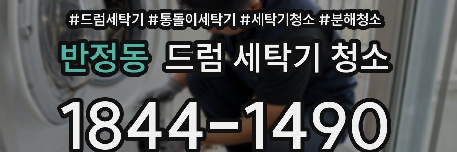 반정동 드럼 세탁기 청소