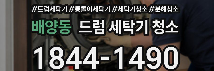 배양동 드럼 세탁기 청소