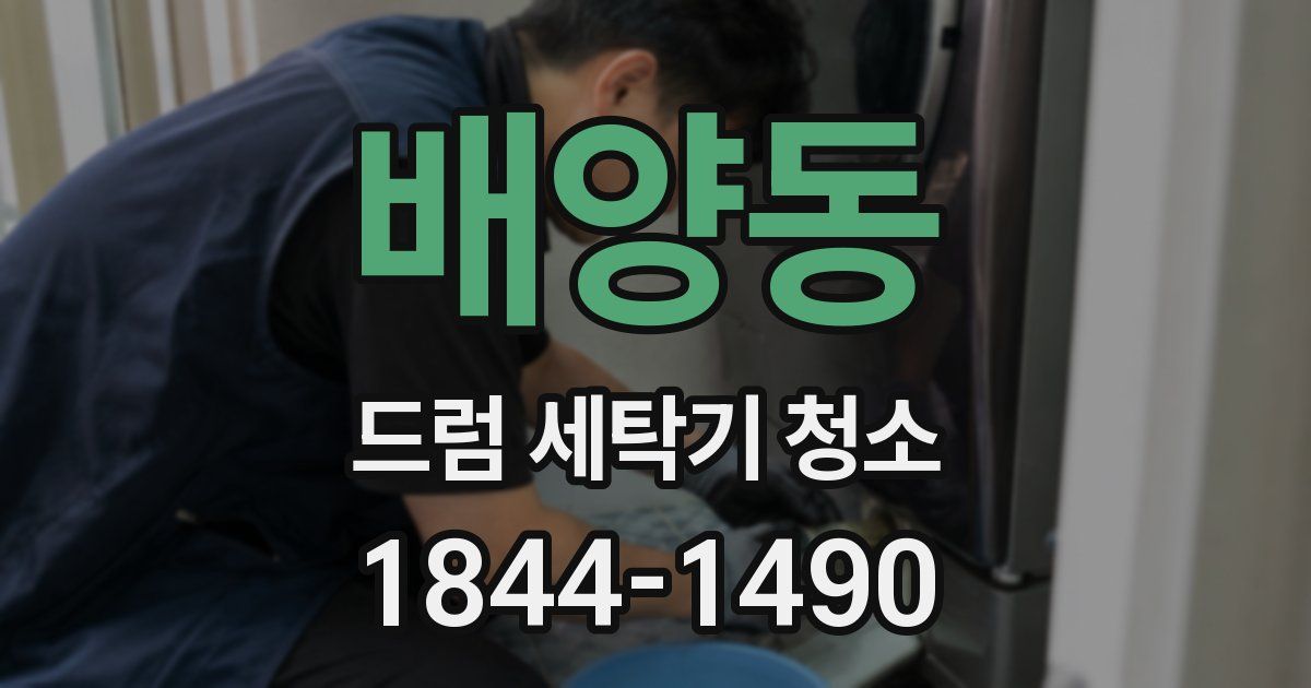 배양동 드럼 세탁기 청소