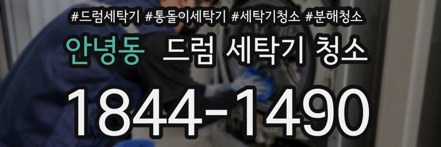 안녕동 드럼 세탁기 청소