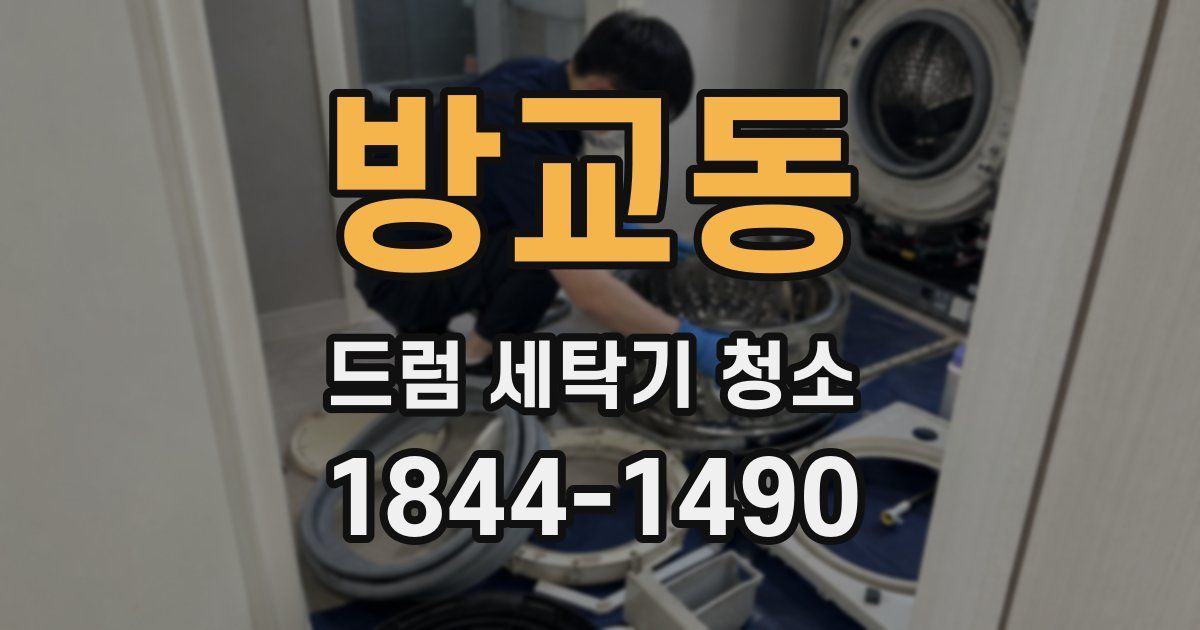 방교동 드럼 세탁기 청소