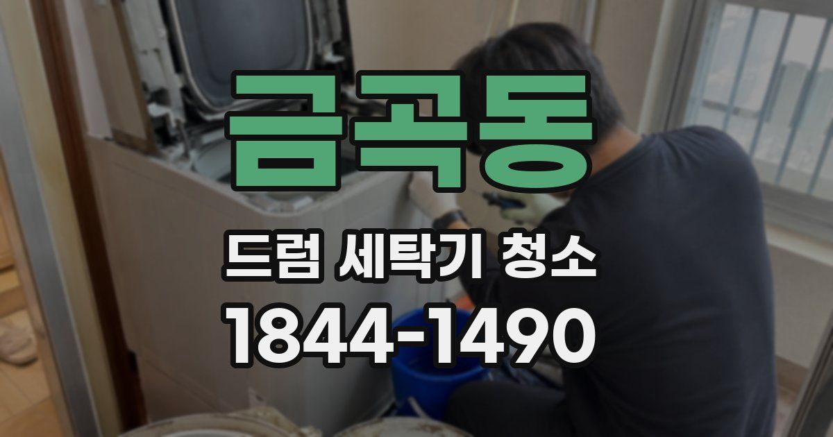 금곡동 드럼 세탁기 청소