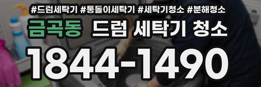 금곡동 드럼 세탁기 청소